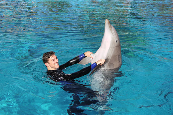 Swim with Dolphins: A Captivating Experience:
