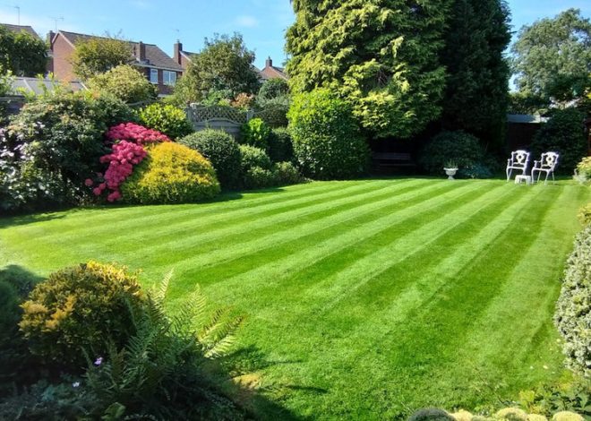 A Green Oasis: Nurturing Your Residential and Commercial Lawns