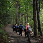Trails Carolina Investigation into Wilderness Therapy Programs