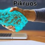 Exploring Pikruos in the Landscape of Home Improvement and Stock Market