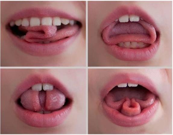 Trixie Tongue Tricks: A Comprehensive Guide to Mastering the Power of Your Tongue