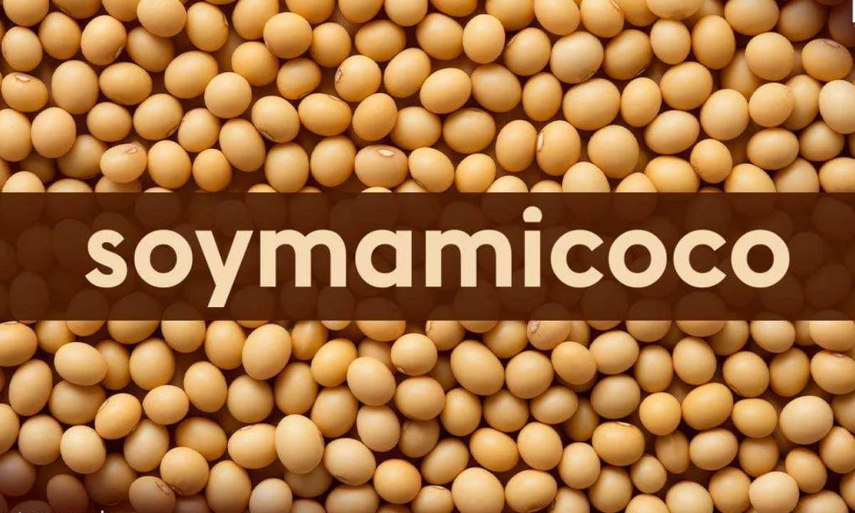 Unveiling Soymamicoco: A Fusion Delight